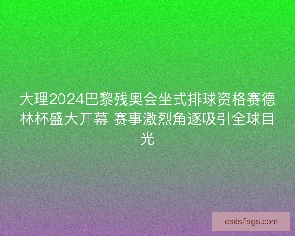 大理2024巴黎残奥会坐式排球资格赛德林杯盛大开幕 赛事激烈角逐吸引全球目光