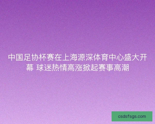 中国足协杯赛在上海源深体育中心盛大开幕 球迷热情高涨掀起赛事高潮